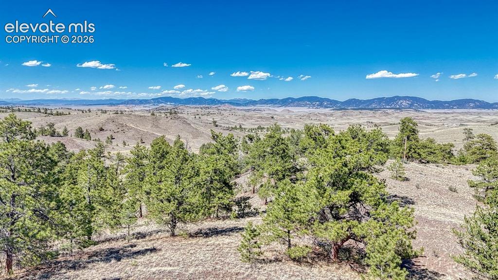 Lot 11 Highway 9 Hartsel CO 80449