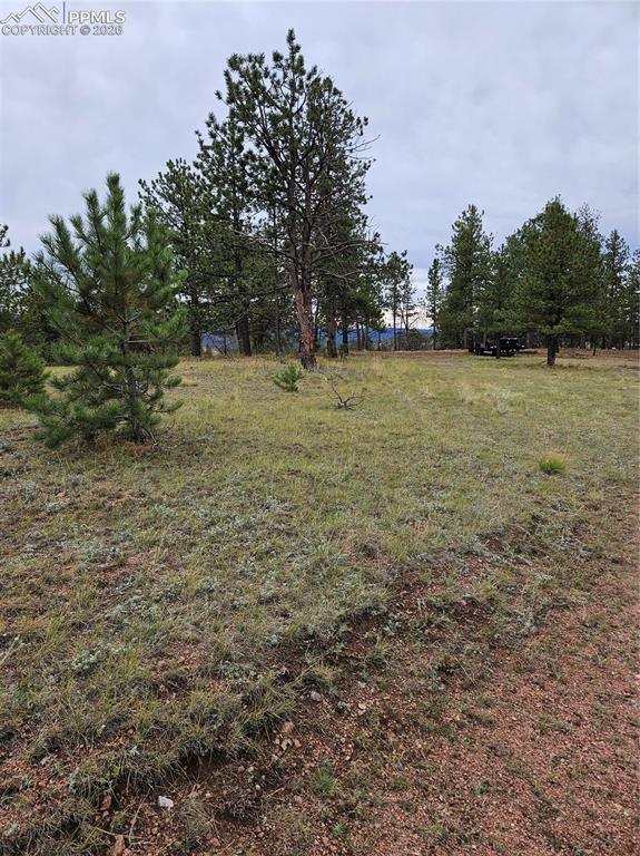 208 Eaglecrest Drive Florissant CO 80816