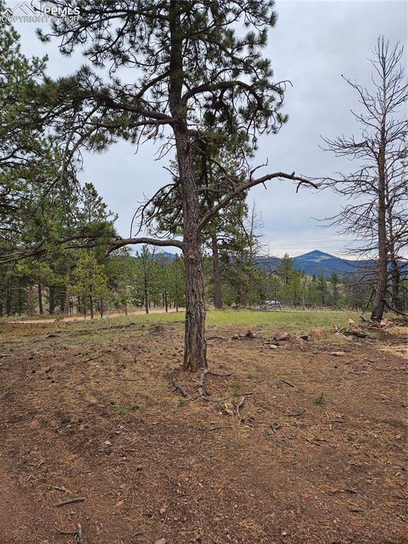 208 Eaglecrest Drive Florissant CO 80816