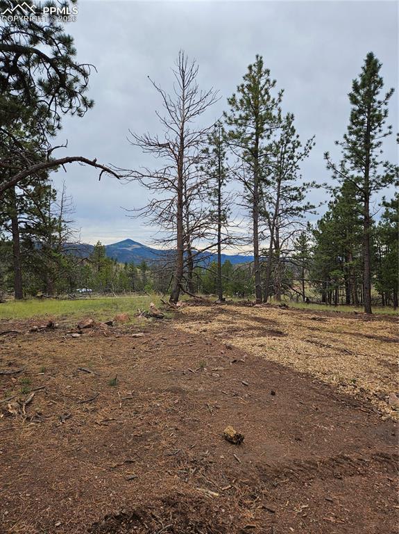 208 Eaglecrest Drive Florissant CO 80816