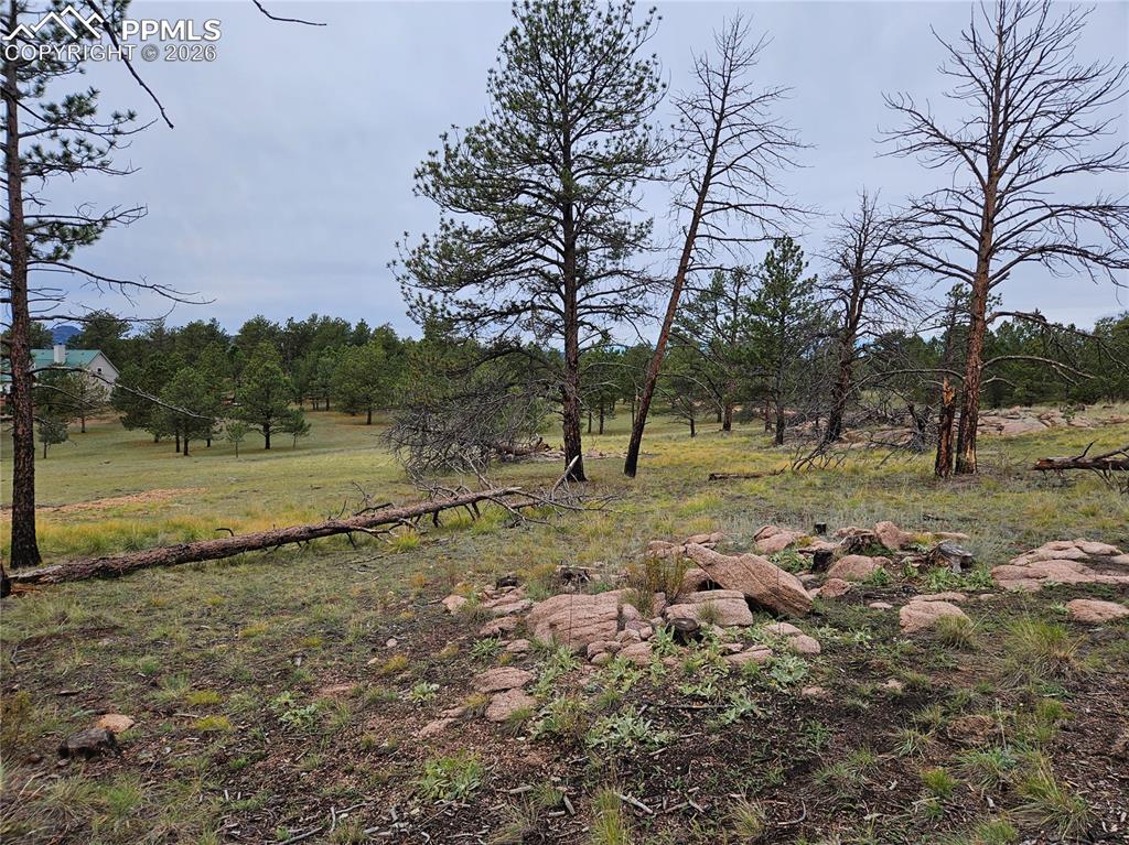 208 Eaglecrest Drive Florissant CO 80816
