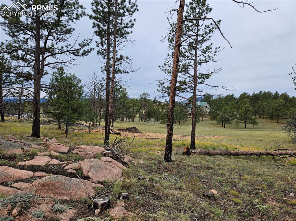208 Eaglecrest Drive Florissant CO 80816