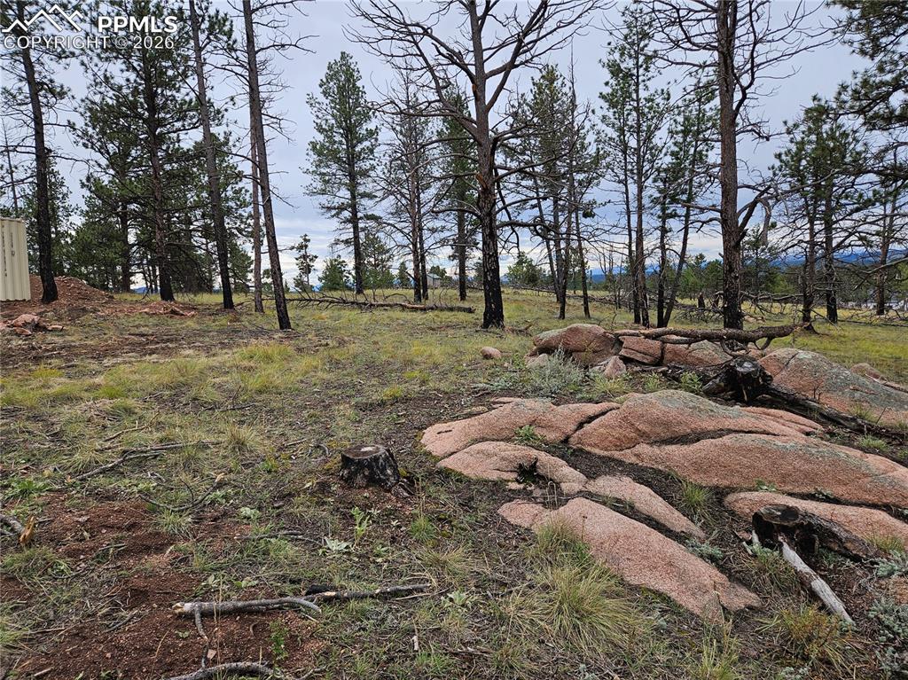 208 Eaglecrest Drive Florissant CO 80816