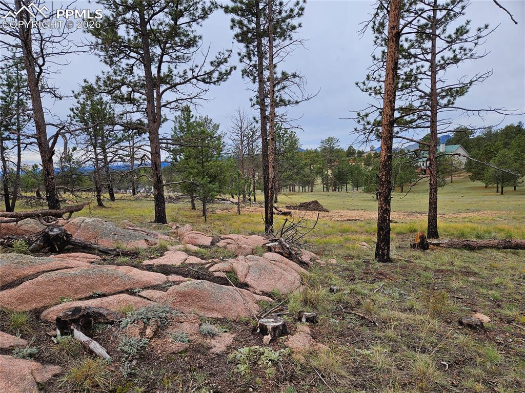 208 Eaglecrest Drive Florissant CO 80816