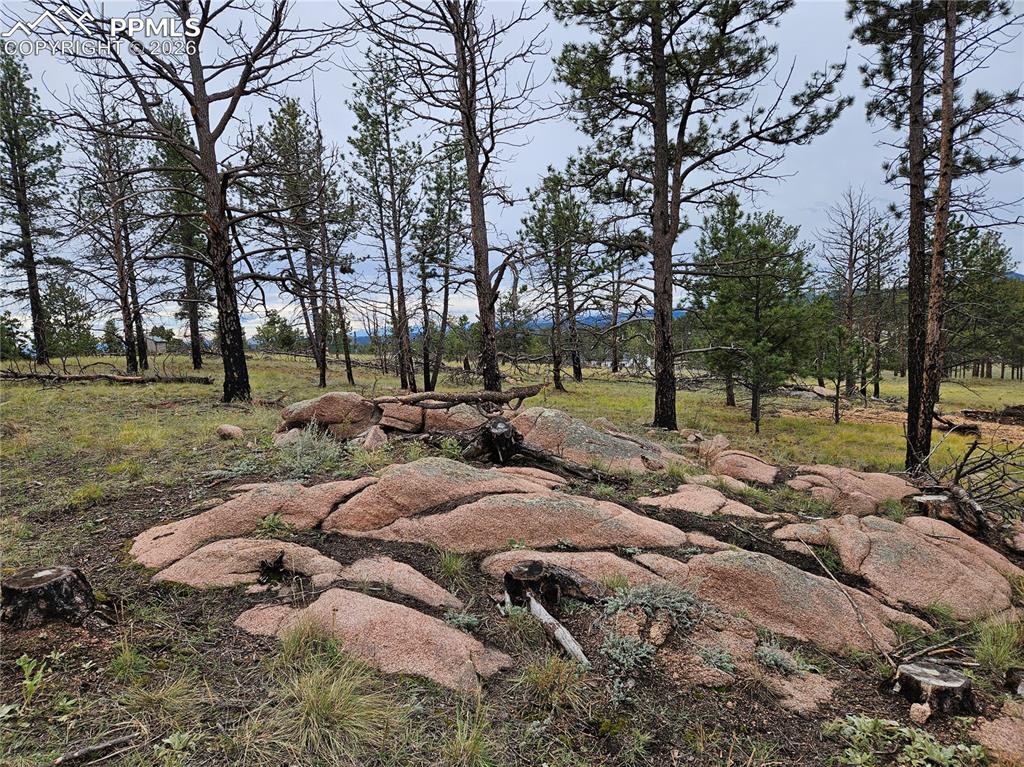 208 Eaglecrest Drive Florissant CO 80816