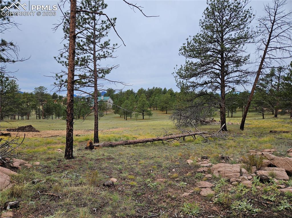 208 Eaglecrest Drive Florissant CO 80816