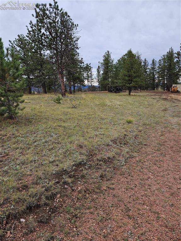208 Eaglecrest Drive Florissant CO 80816