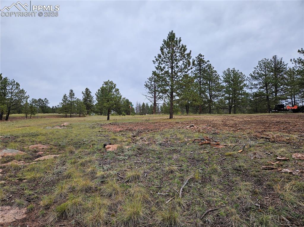 208 Eaglecrest Drive Florissant CO 80816