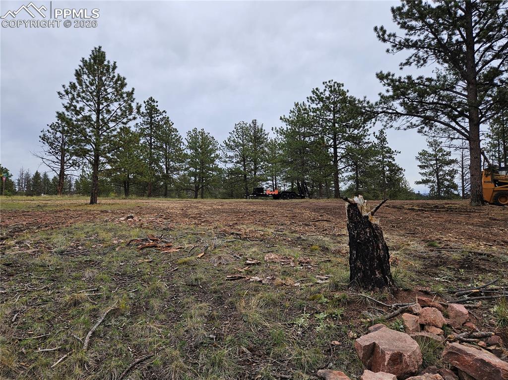208 Eaglecrest Drive Florissant CO 80816