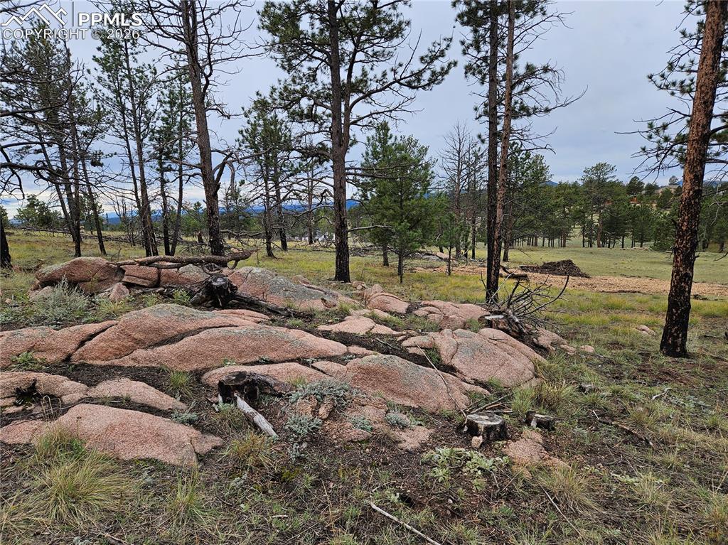 208 Eaglecrest Drive Florissant CO 80816