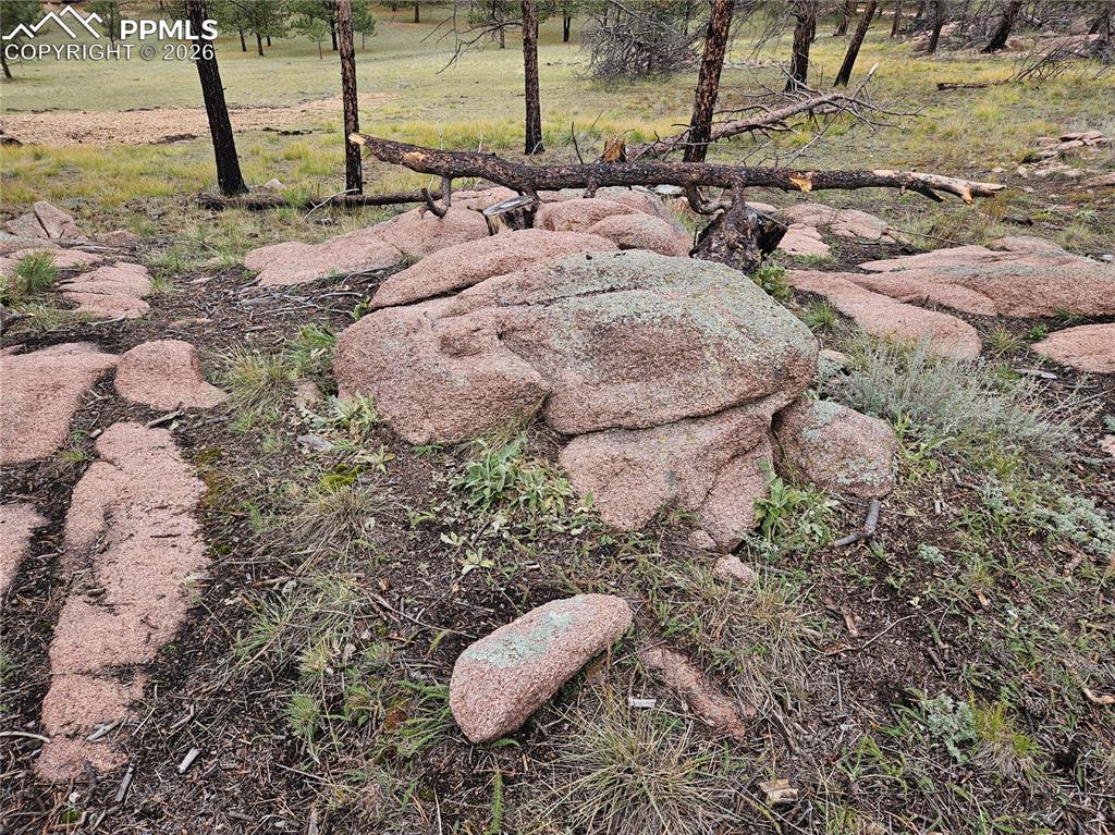 208 Eaglecrest Drive Florissant CO 80816