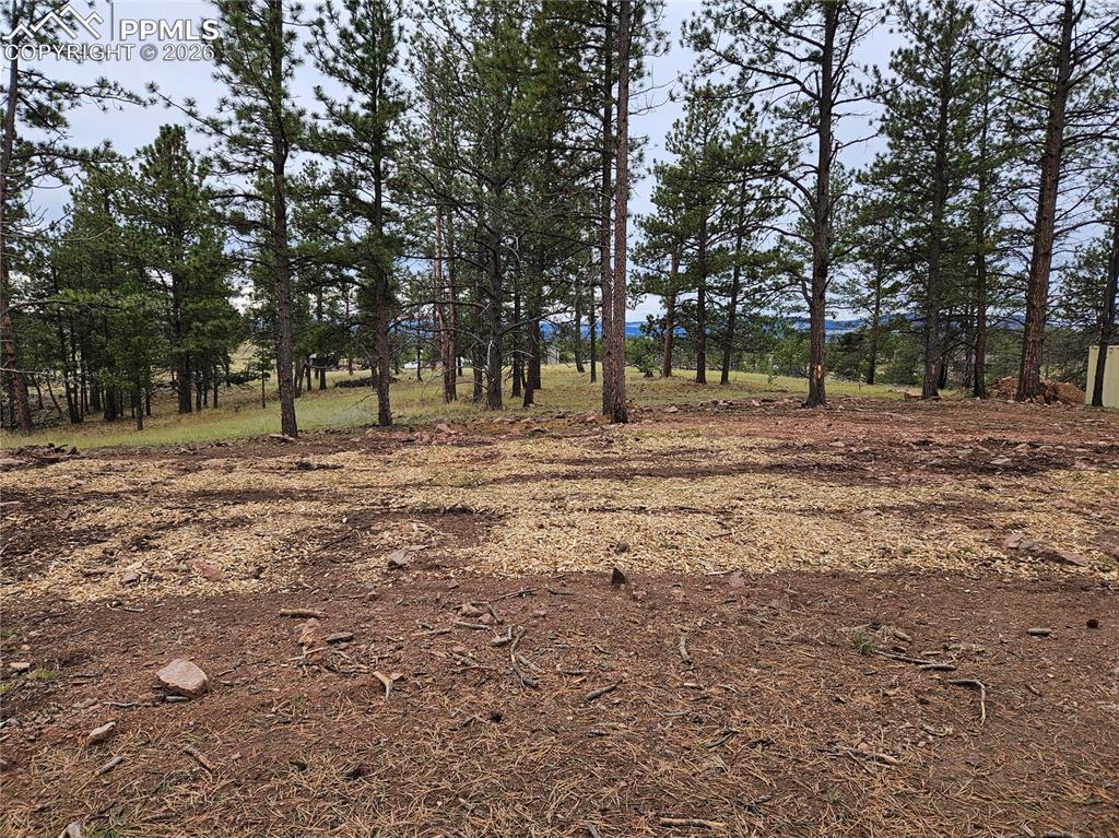 208 Eaglecrest Drive Florissant CO 80816