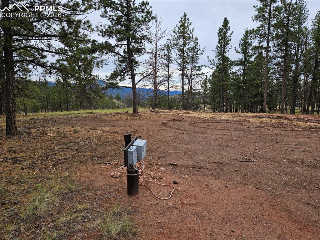 208 Eaglecrest Drive Florissant CO 80816