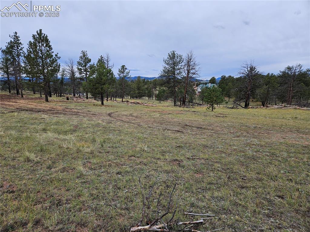 208 Eaglecrest Drive Florissant CO 80816
