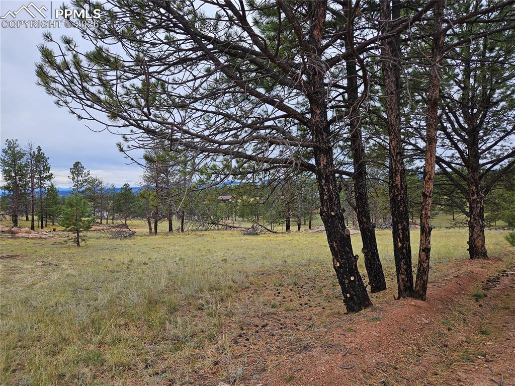 208 Eaglecrest Drive Florissant CO 80816