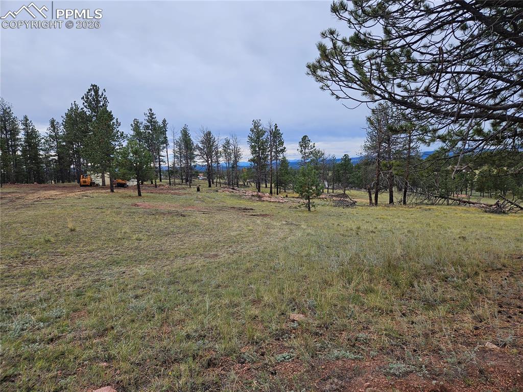 208 Eaglecrest Drive Florissant CO 80816