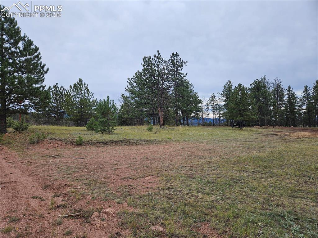 208 Eaglecrest Drive Florissant CO 80816
