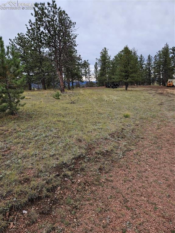 208 Eaglecrest Drive Florissant CO 80816