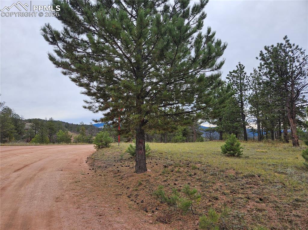 208 Eaglecrest Drive Florissant CO 80816