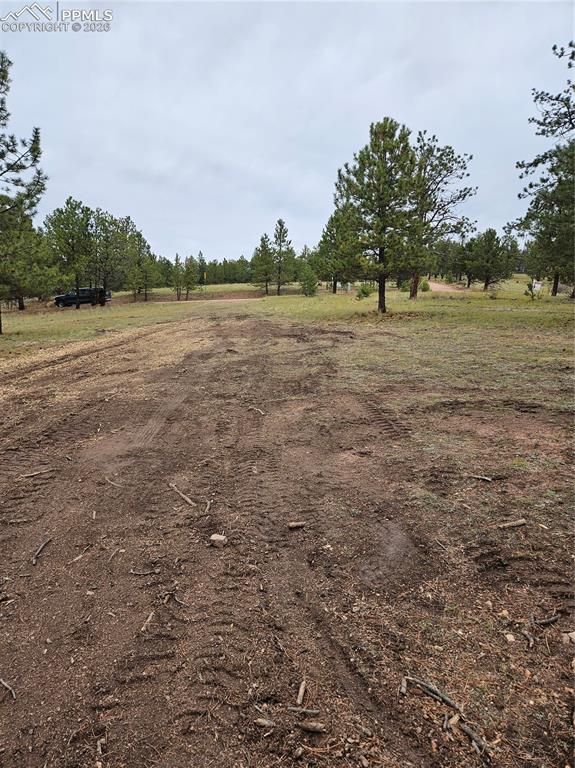 208 Eaglecrest Drive Florissant CO 80816