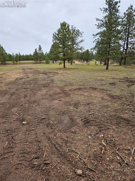 208 Eaglecrest Drive Florissant CO 80816
