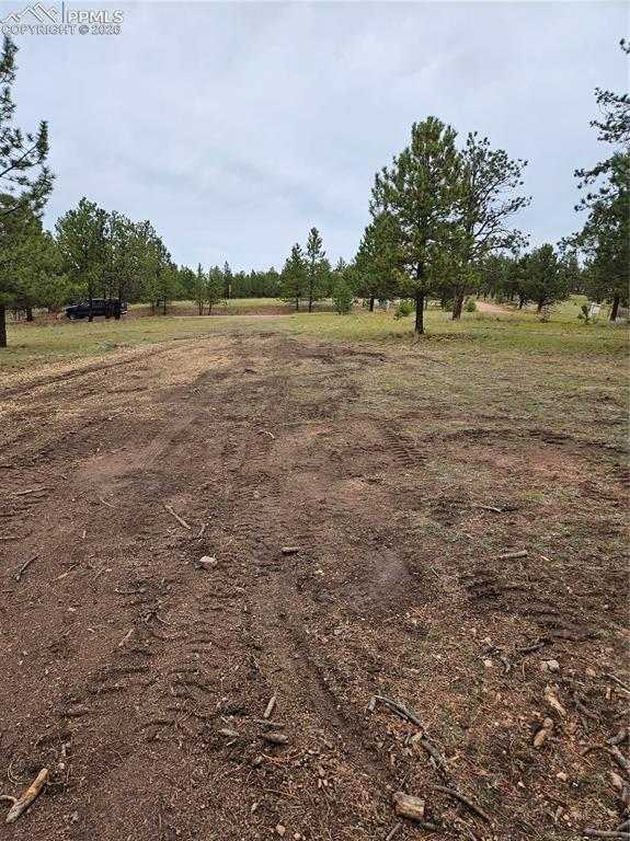208 Eaglecrest Drive Florissant CO 80816
