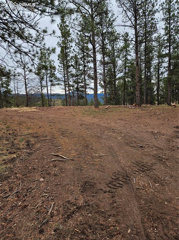 208 Eaglecrest Drive Florissant CO 80816