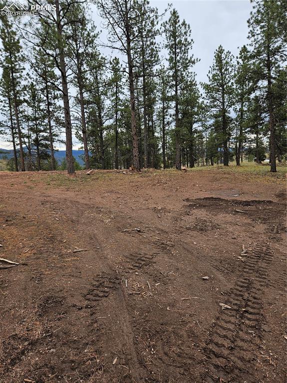 208 Eaglecrest Drive Florissant CO 80816