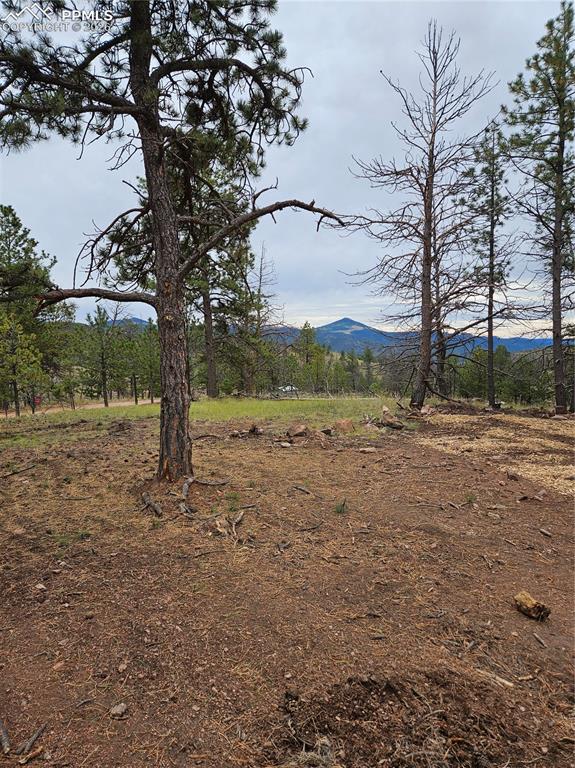 208 Eaglecrest Drive Florissant CO 80816