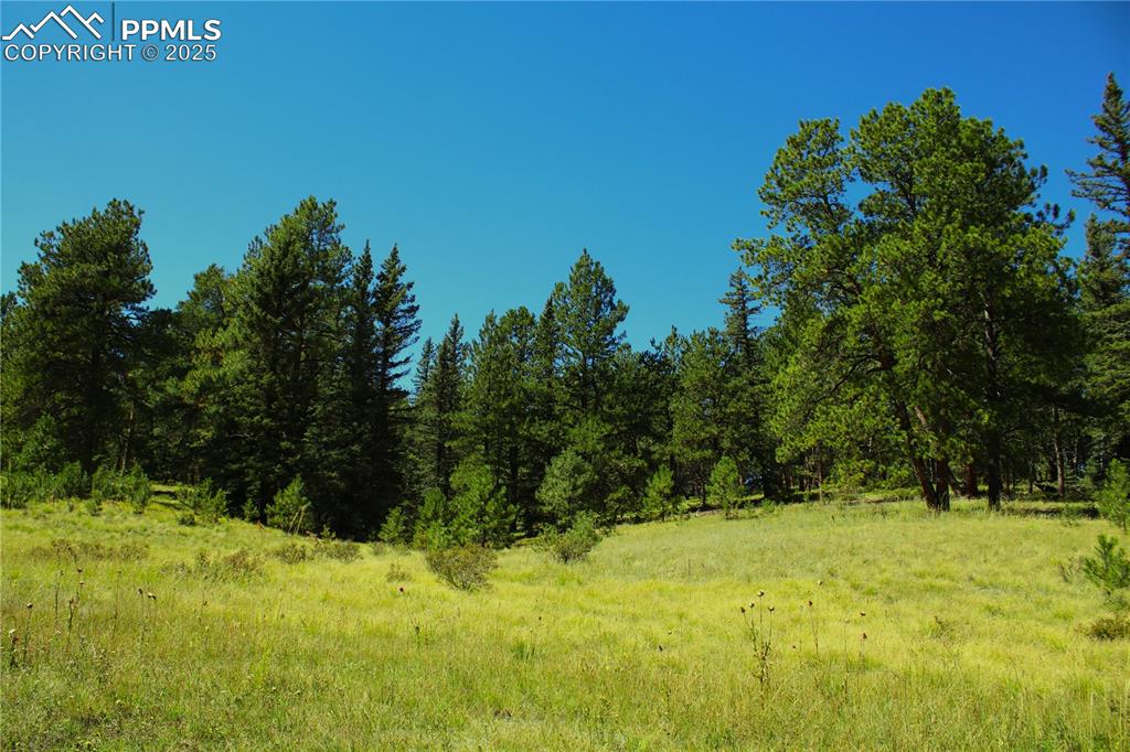6500 County Road 5 Divide CO 80814