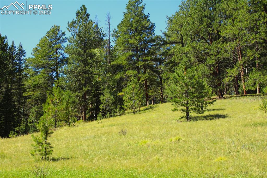 6500 County Road 5 Divide CO 80814