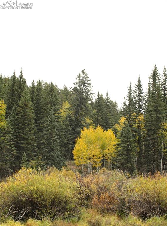 6500 County Road 5 Divide CO 80814