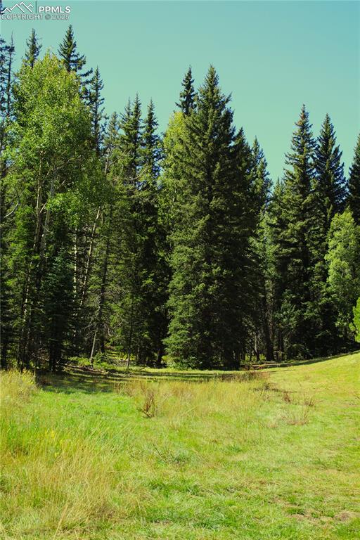 6500 County Road 5 Divide CO 80814