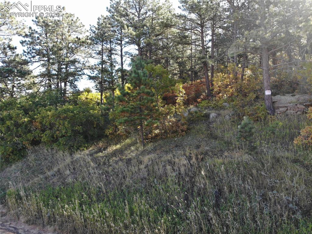 Oakdale Terrace Palmer Lake CO 80133