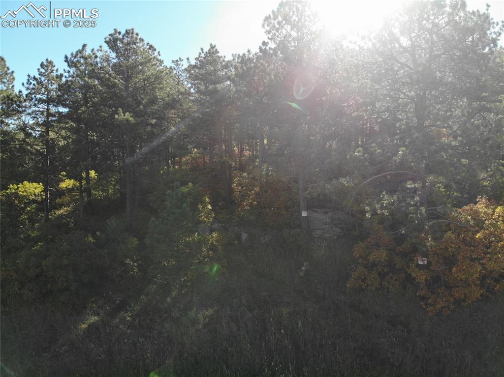 Oakdale Terrace Palmer Lake CO 80133