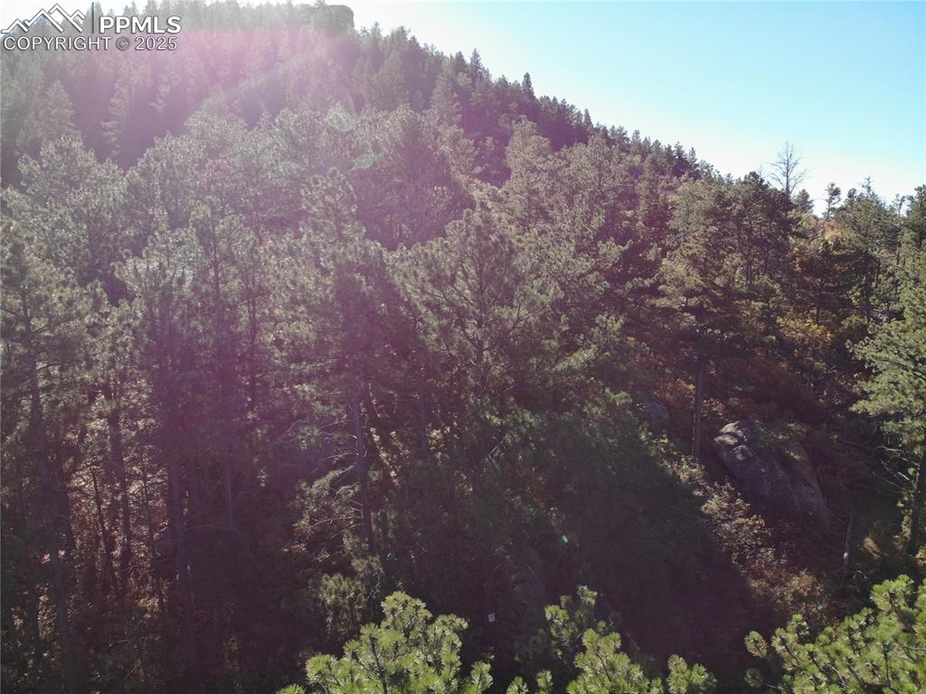 Oakdale Terrace Palmer Lake CO 80133