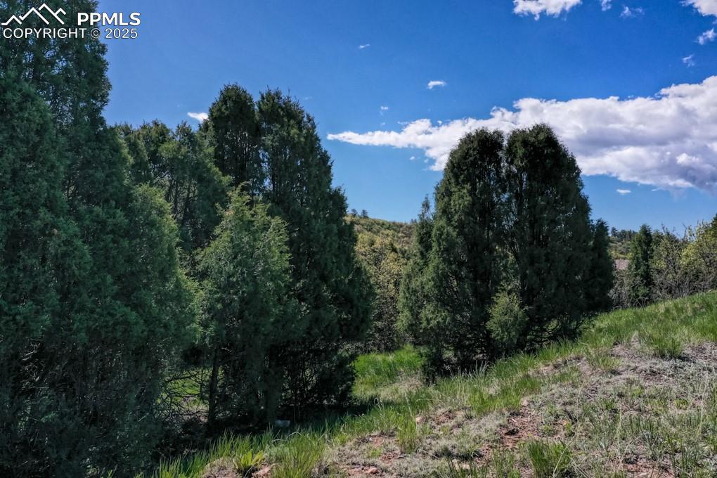 3455 Black Canyon Road Colorado Springs CO 80904