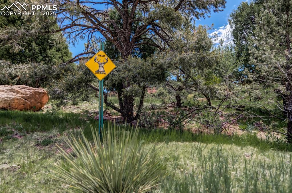 3455 Black Canyon Road Colorado Springs CO 80904
