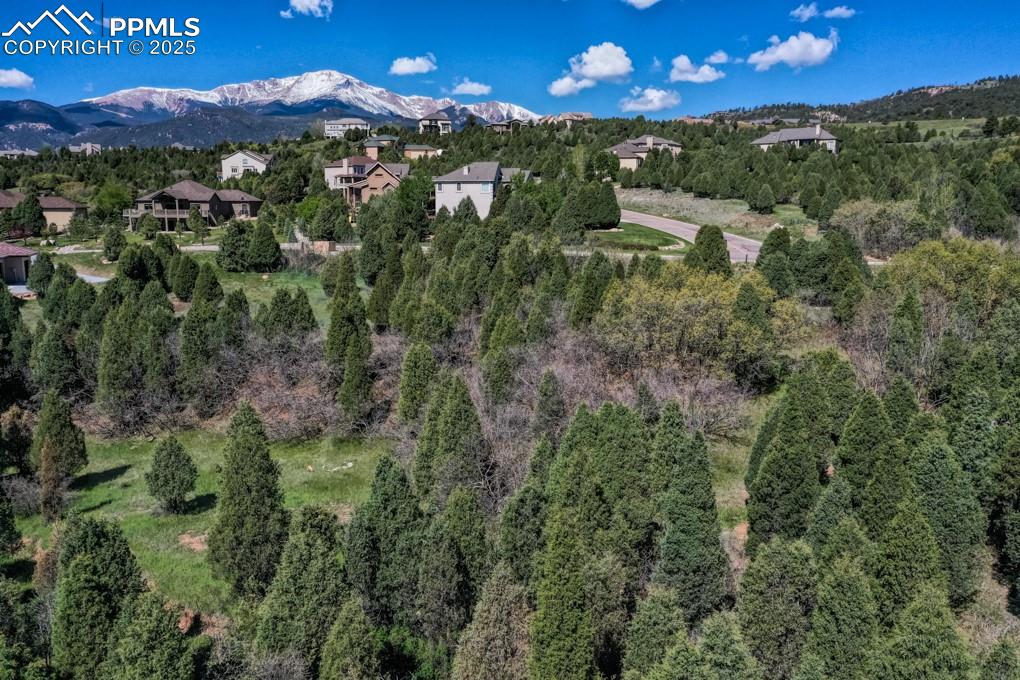 3455 Black Canyon Road Colorado Springs CO 80904