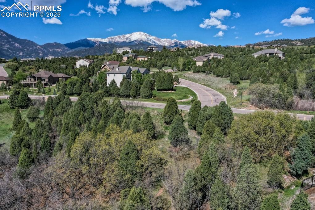 3455 Black Canyon Road Colorado Springs CO 80904