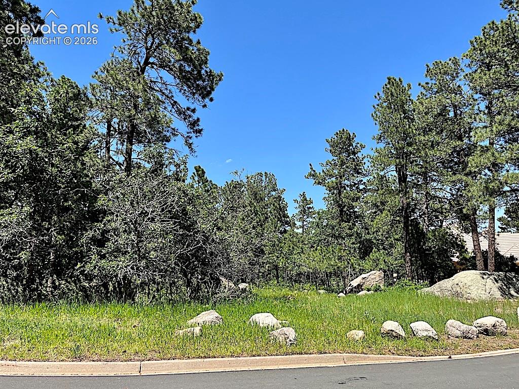 584 Silver Oak Grove Colorado Springs CO 80906