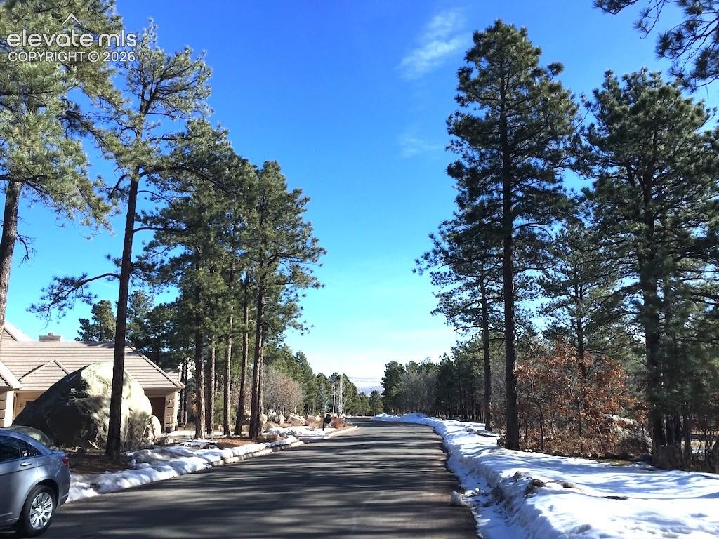 584 Silver Oak Grove Colorado Springs CO 80906