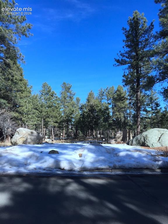 584 Silver Oak Grove Colorado Springs CO 80906