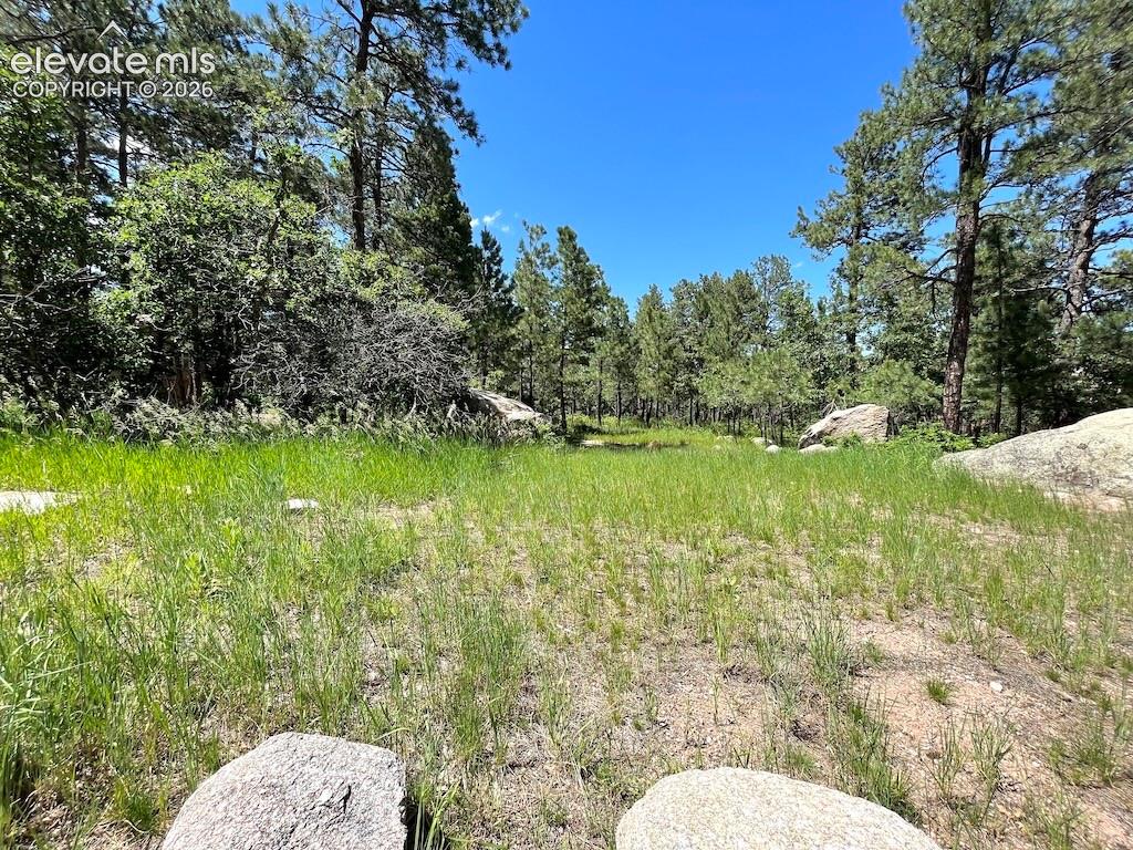 584 Silver Oak Grove Colorado Springs CO 80906