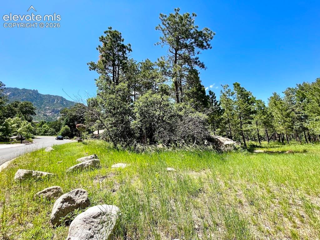 584 Silver Oak Grove Colorado Springs CO 80906