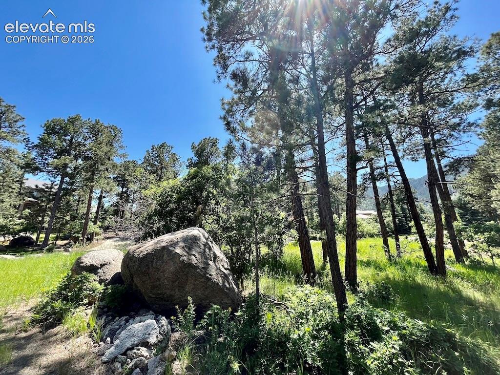 584 Silver Oak Grove Colorado Springs CO 80906
