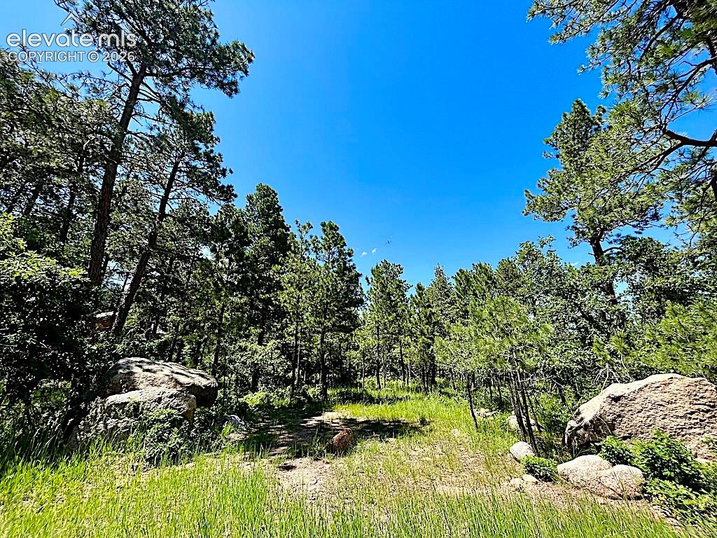 584 Silver Oak Grove Colorado Springs CO 80906