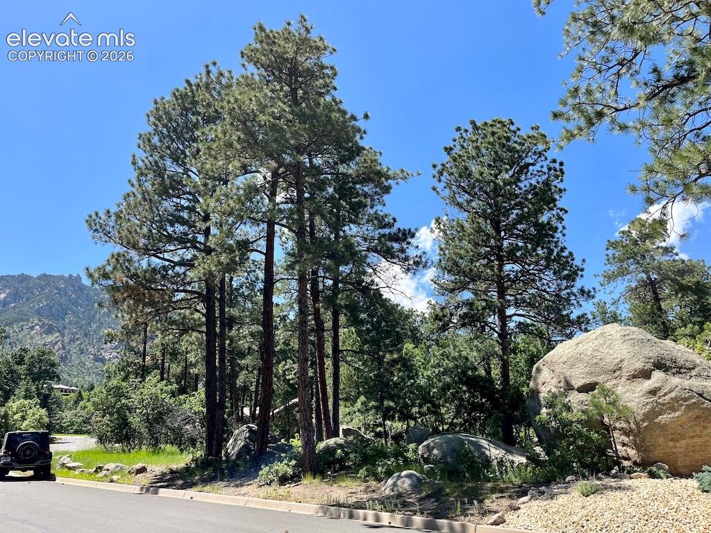 584 Silver Oak Grove Colorado Springs CO 80906
