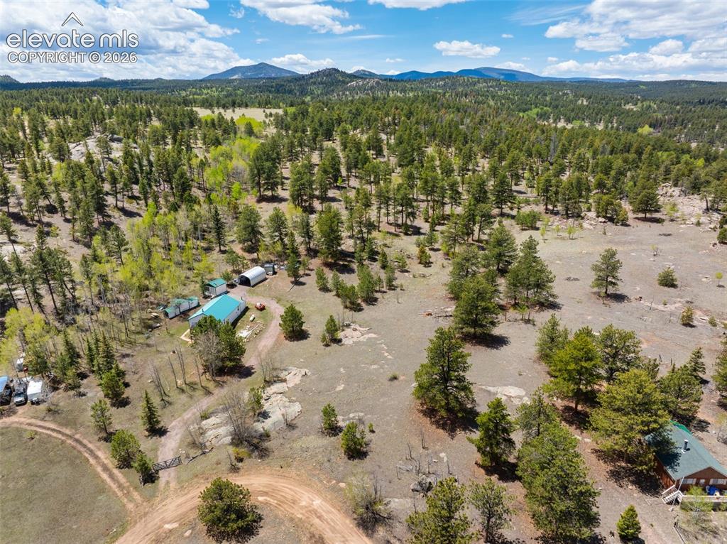 121 Bridle Lane Florissant CO 80816
