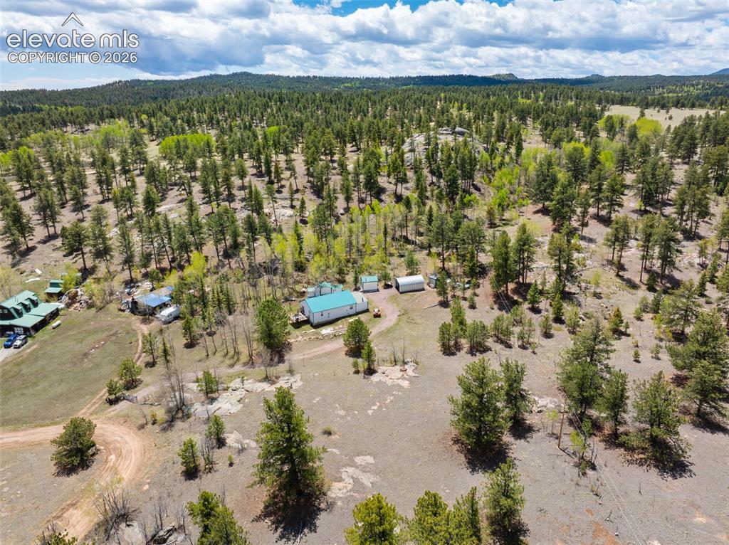 121 Bridle Lane Florissant CO 80816
